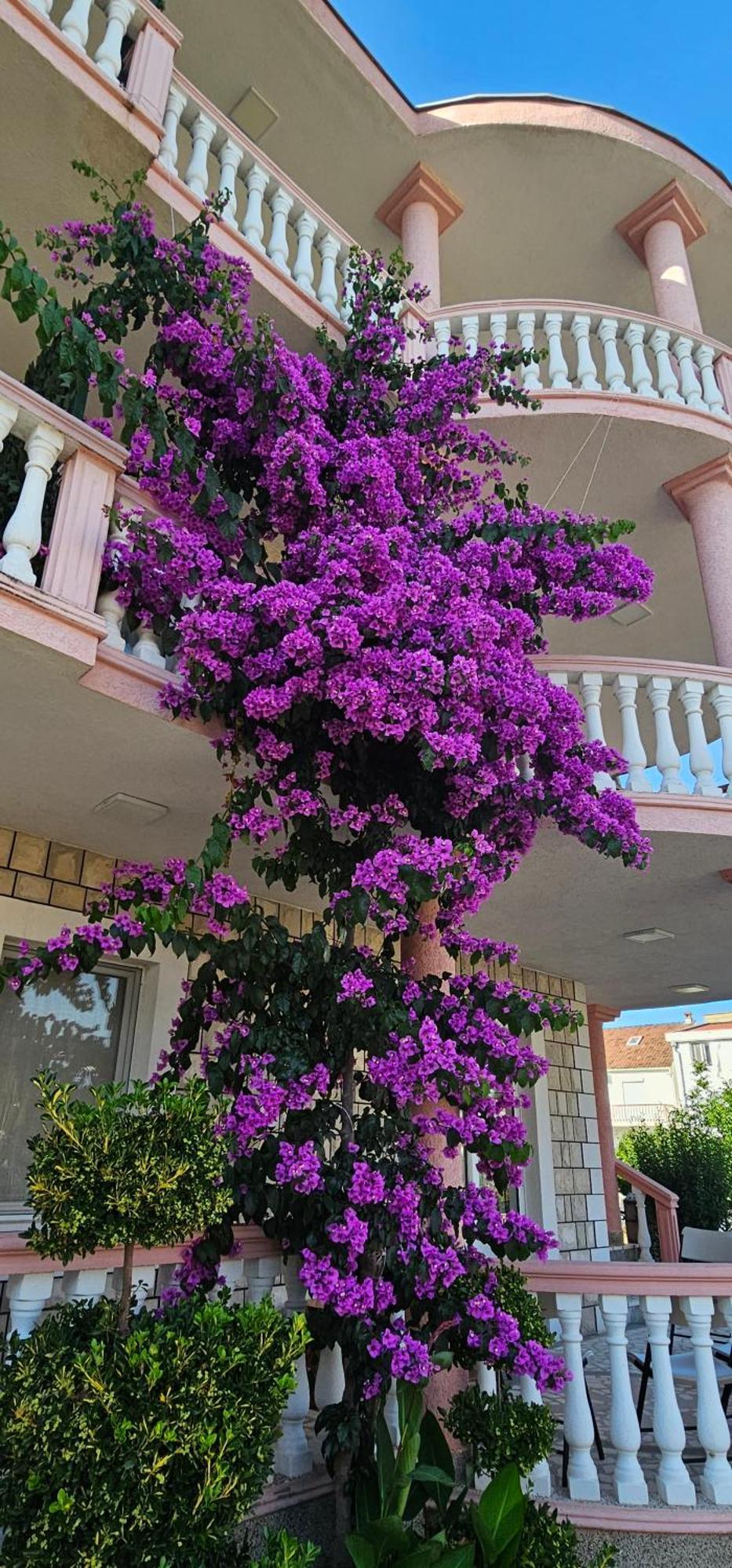 Kurt Apartaments อุลซิน ภายนอก รูปภาพ